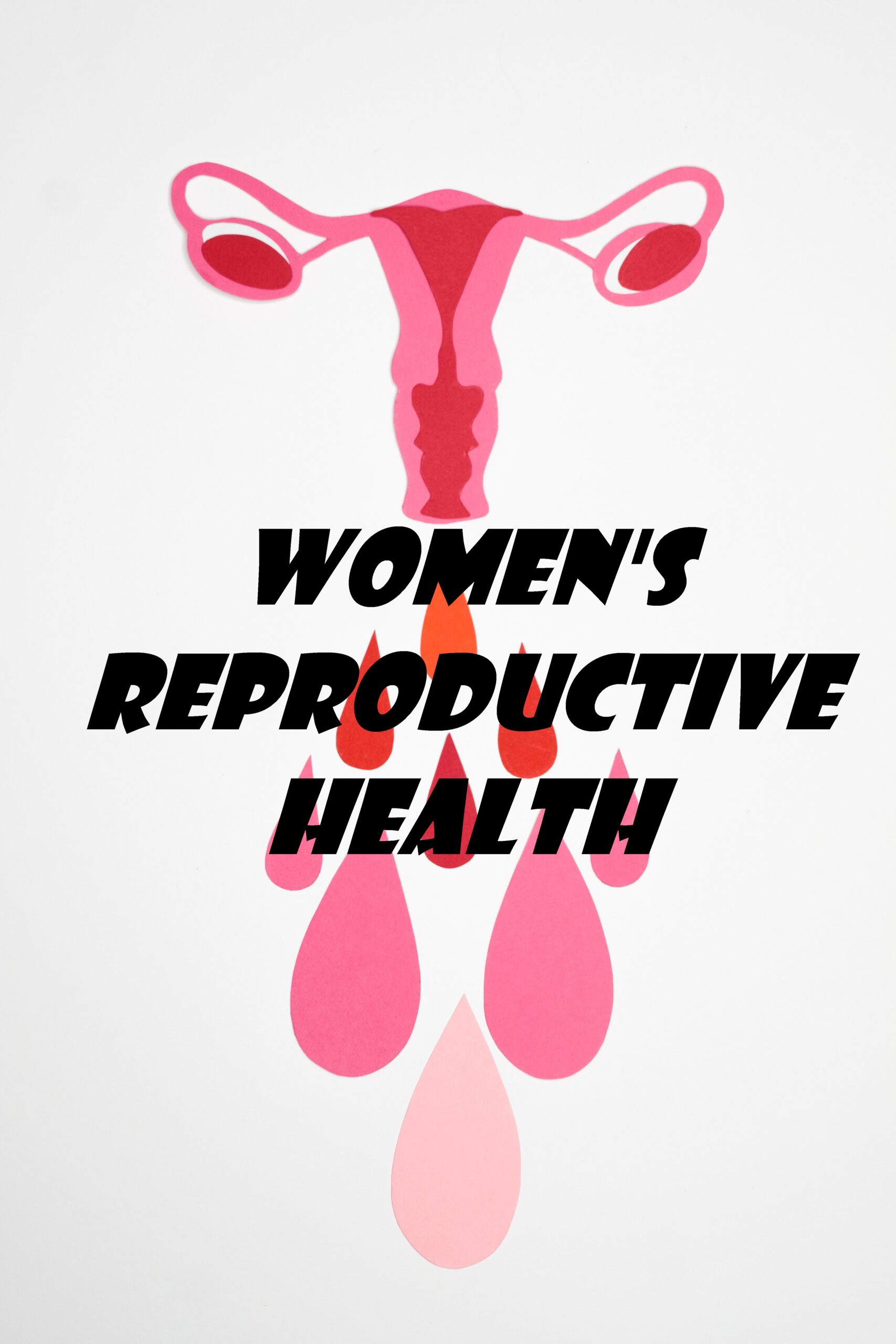 Understanding the Female Reproductive System
