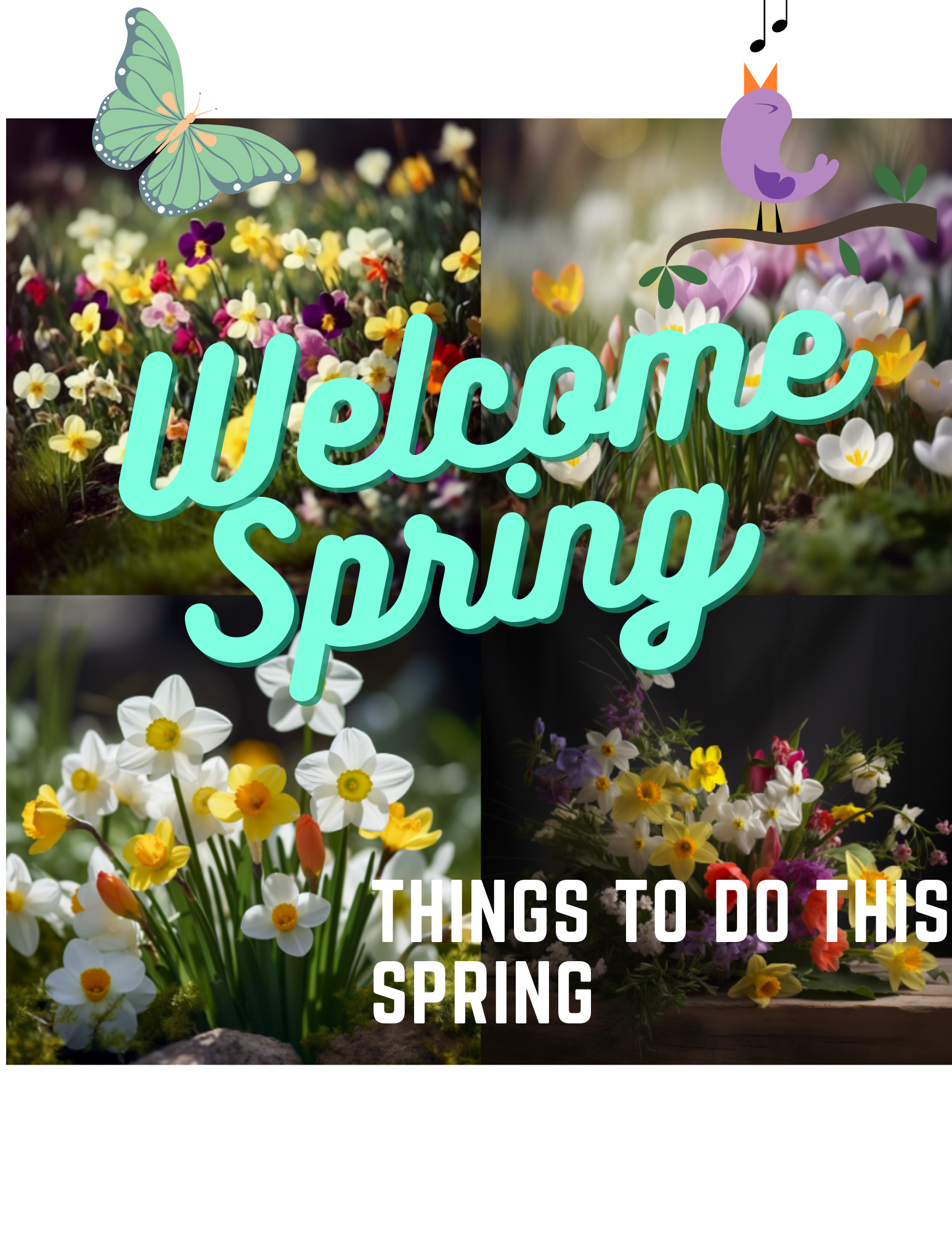 Things to Do This Spring: A Guide to Enjoying the Season to the Fullest
