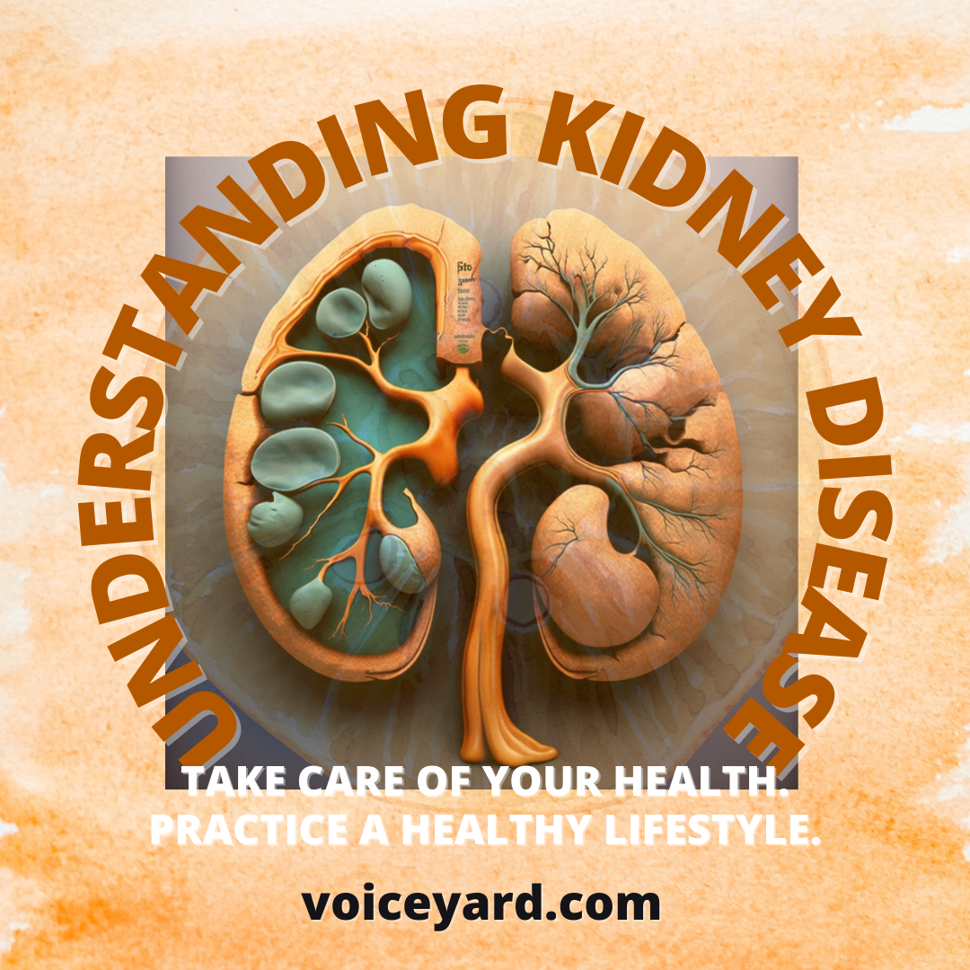 Understanding Kidney Disease: A Comprehensive Guide to Prevention, Diagnosis, and Treatment